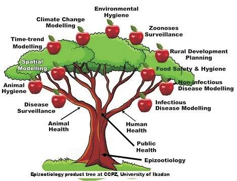 Epizootiology product tree at CCPZ UI Ibadan