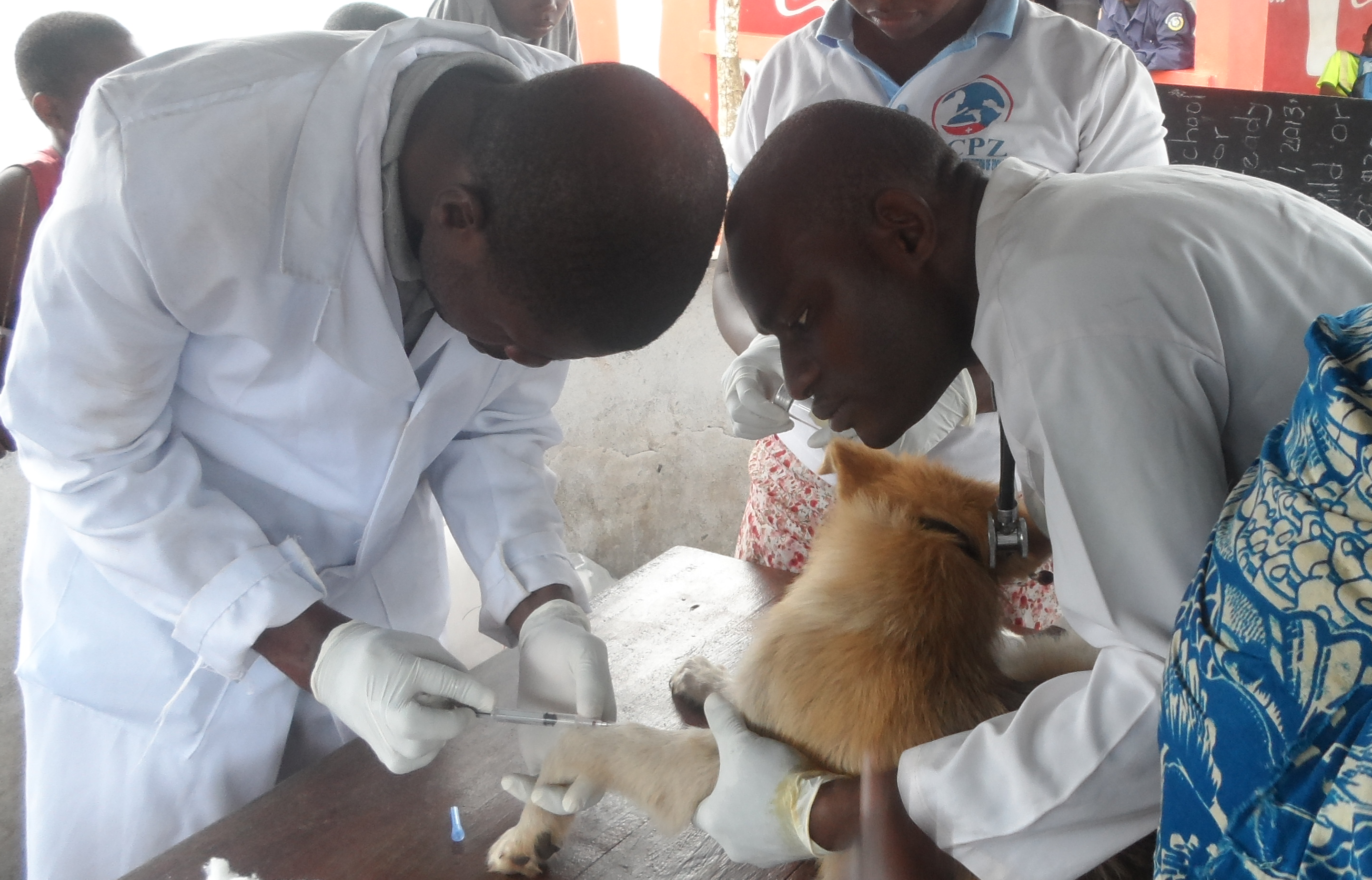 CCPZ team vaccinates against rabies in Liberia